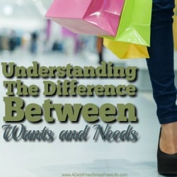 Most people don’t understand the difference between wants and needs. And for some people, particularly people who feel shame about their financial circumstances, feel undeserving of wants or needs. Most people I've spoken with struggle with making the distinction between want and needs. Learn the easy four part solution to understanding the difference.