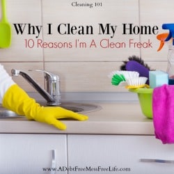 why I clean my home