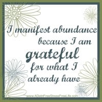 I manifest abundance because I am grateful for what I already have.