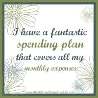 I have a fantastic spending plan that covers all my monthly expenses.