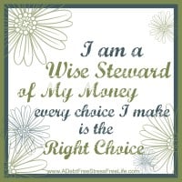 I am a wise steward of my money, every choice I make is the right choice.