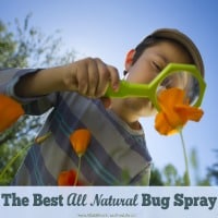 how to prevent bug bites, safe alternative for bug bites