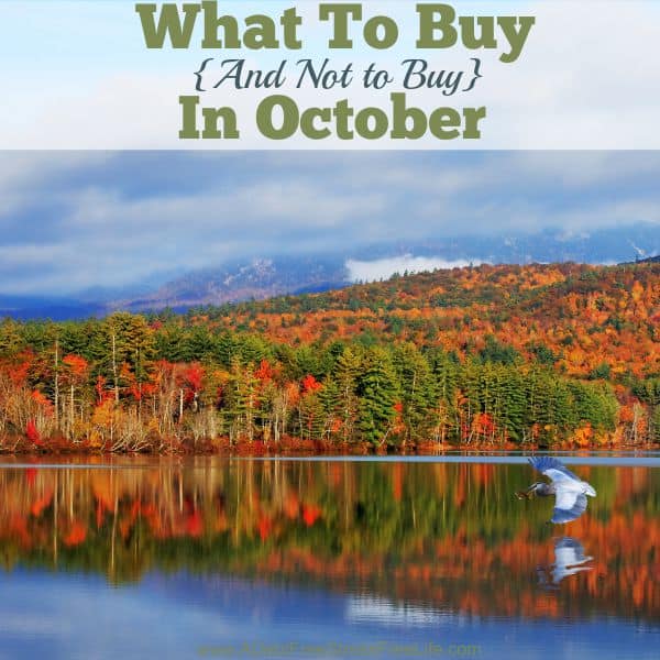 You can snag some great deals in October, but only if you know what to buy and what not to buy. Some are not so obvious. 