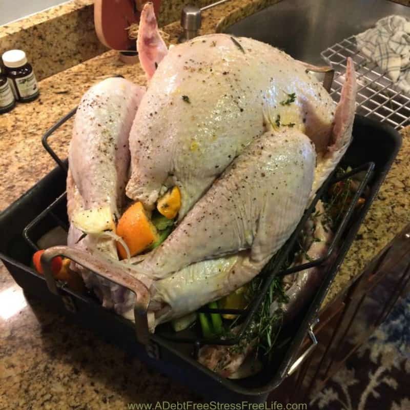If your turkey comes out less than stellar year after year, or if you've never attempted to cook a turkey, then you're going to love this step by step recipe. Use my recipe and methods and you'll end up with the most moist and delicious turkey ever! The whole family will be saying, "gobble, gobble."