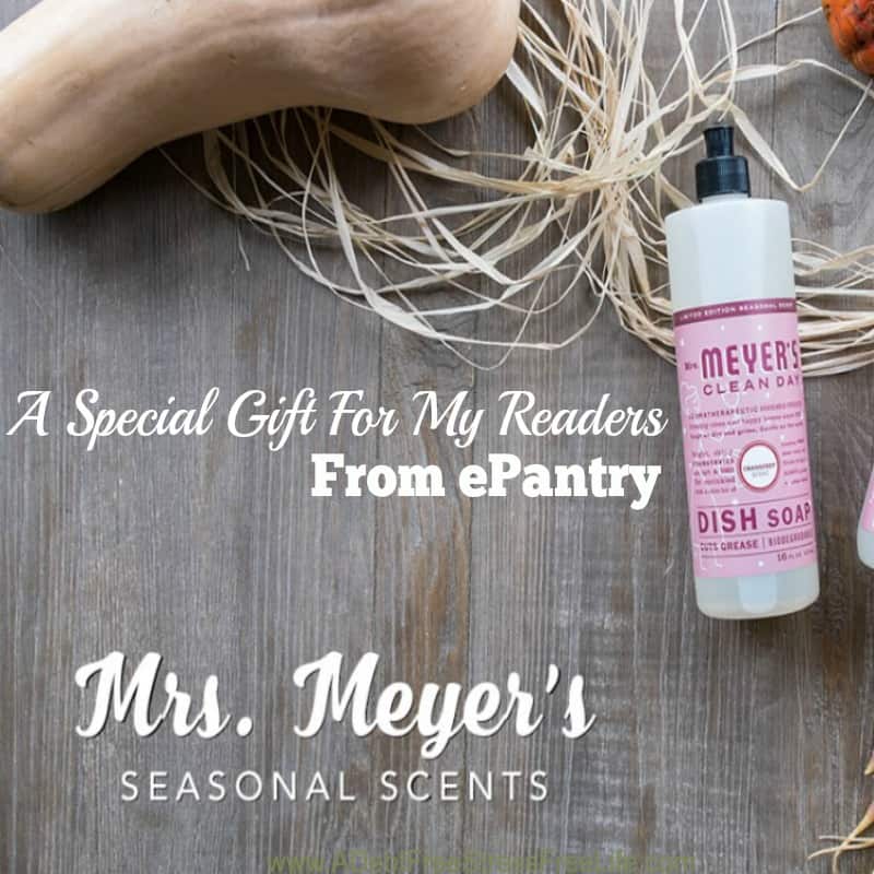 A Special Gift for My Readers:  Mrs Meyers Seasonal Scents giveaway. Three full size products and Free Shipping!