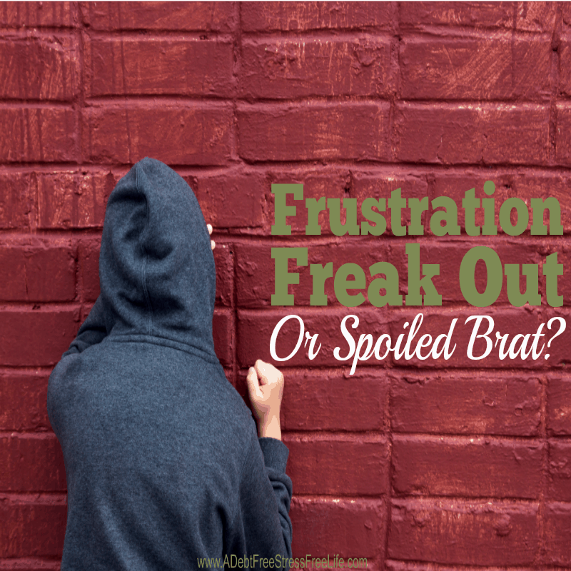 Frustration Freak Out or Spoiled Brat - You Decide.