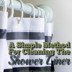 Have you ever stayed over a friend or relatives home only to wake up in the morning to hit the shower and be confronted with an onslaught of mold and mildew on the shower liner? Most people clean their shower liner by removing it and throwing it away. But that can be very costly if you're replacing a shower liner ever month. Here's a real simple cleaning method that will save you time and money.