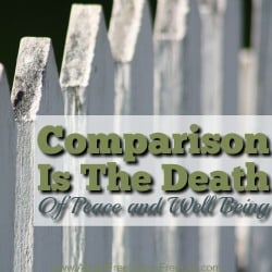 When we compare ourselves to others we rob ourselves of peace, joy and contentment. We become so focused on others external triumphs we fail to recognize no one is perfect. Here is a collection of articles aimed at helping us break the comparison beast.
