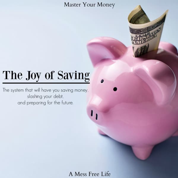 the joy of saving 