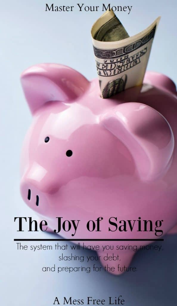 Struggle with saving money? Learn how to embrace saving and slash your debt while planning for your future! | Tips | Ideas | Challenge | Goals