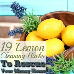 When life gives you lemons, you could make lemonade...or you could use them all around your home and for your spring cleaning. It's unbelievable what you can do with these lemon cleaning hacks! They really work!