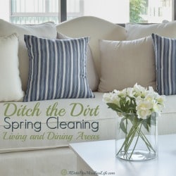 A place for everything and everything in its place — it's easier than you think. Get your home in order with my step by step guide to spring cleaning your living and dining rooms. Bye-bye dirt and clutter; hello, peace of mind!