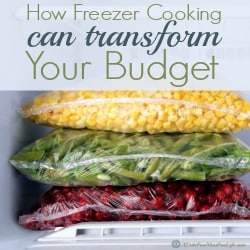 Ever wonder what all the hype is about freezer cooking? It's awesome! Simple, budget friendly meals you throw into your crock-pot! Great for the beginner chef!