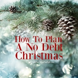 Looking for some debt free Christmas ideas? We've got that and more! Visit 100 Days of Debt Free DIY Holiday Ideas!