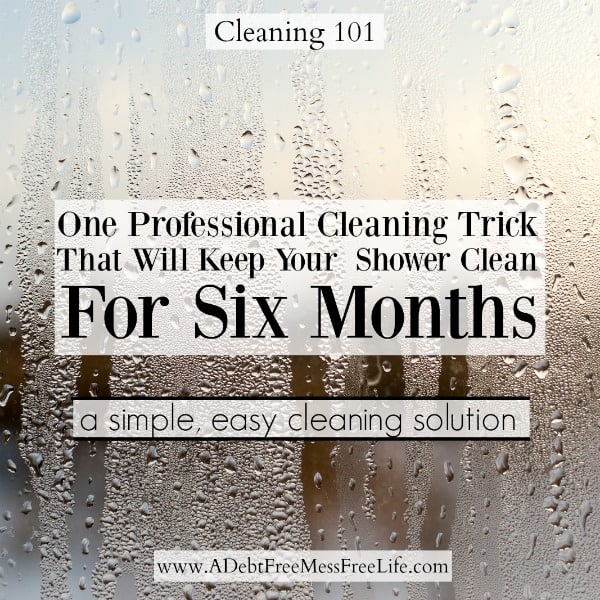 https://www.adebtfreestressfreelife.com/wp-content/uploads/2017/01/one-professional-cleaning-trick.jpg