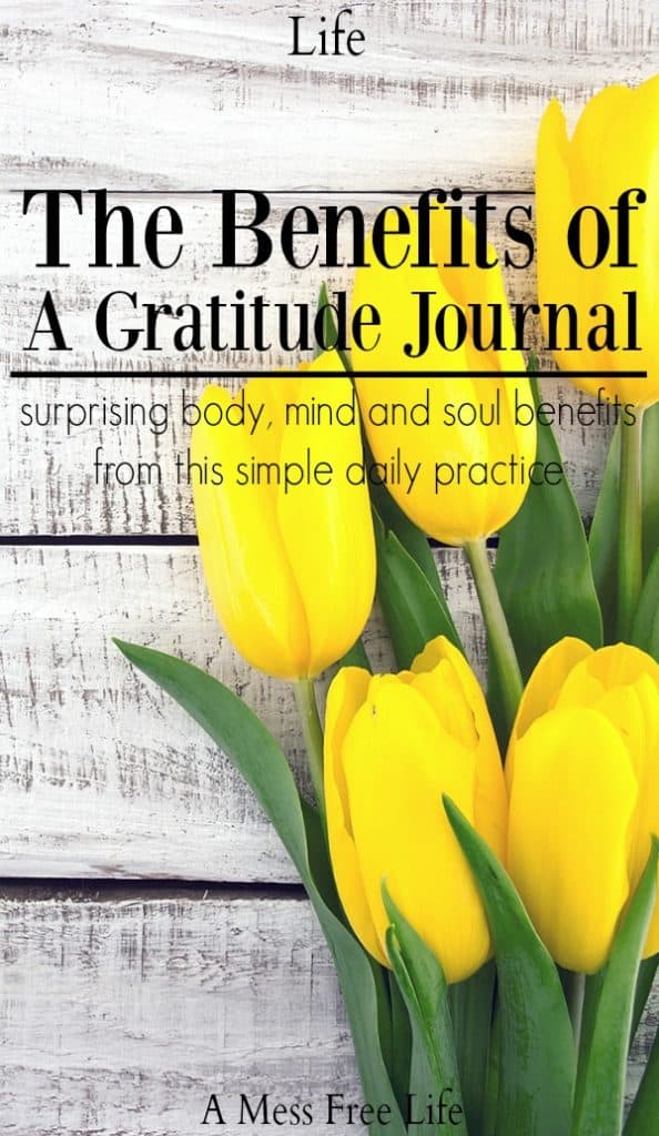 Think starting a gratitude journal might be of benefit to you? Well you'd be right! This free printable offers prompts and ideas on how to get started and a place to document all the good things in your life!