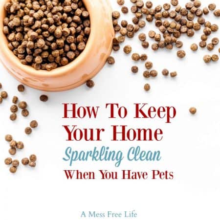 Keeping Your Home Clean With Pets | Pet Friendly Cleaning Tips