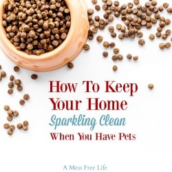 keep your home clean with pets