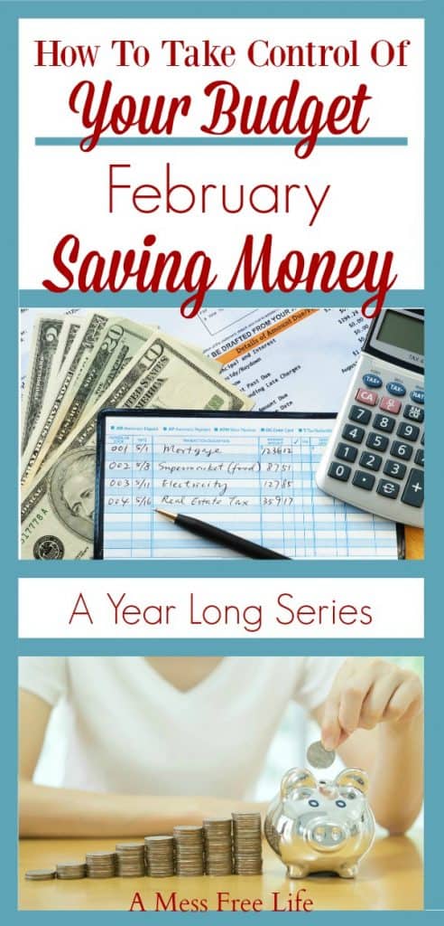 In part two of our year-long series on how to develop a spending plan, we take a hard look at February and money saving strategies. Need to get out of debt? Want to save for something important to you? Great money goals and spending plans start with this in mind. Learn the tips for fixing your finances through saving money. Give your budget a makeover! #MoneySavingTips #Budget #Frugal #fixyourfinances