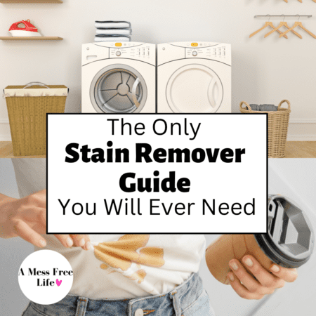 The Only Stain Remover Guide You Will Ever Need