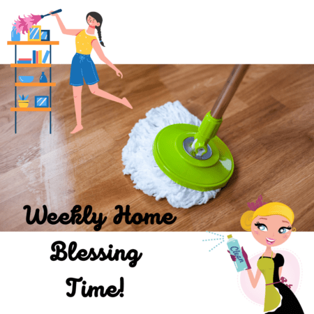 FlyLady Weekly Home Blessing Hour 