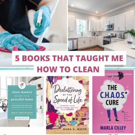 The 5 Best Books That Will Teach You How To Clean in 2023