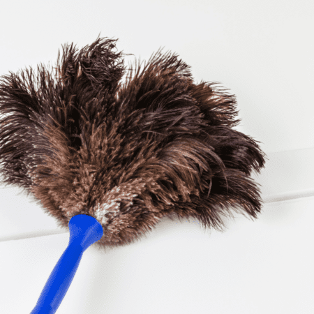 Weekly Cleaning Routine Checklist